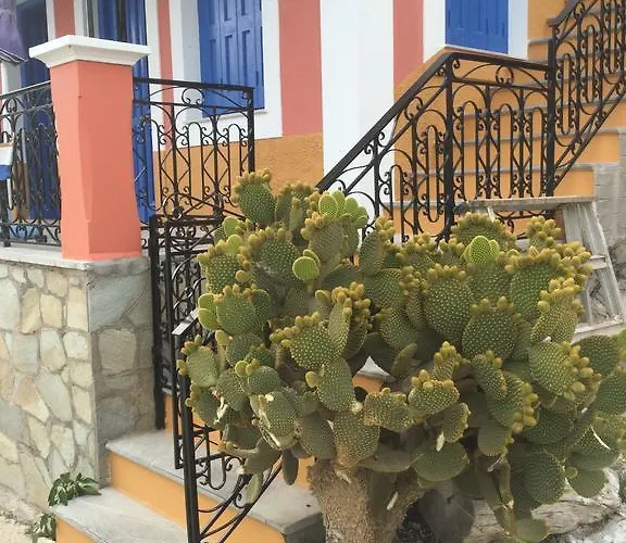 Nikolitsi アパート シミ