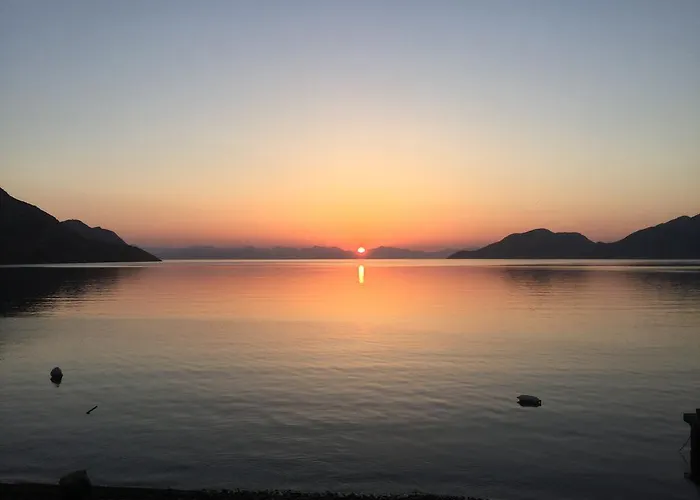 Nikolitsi アパート